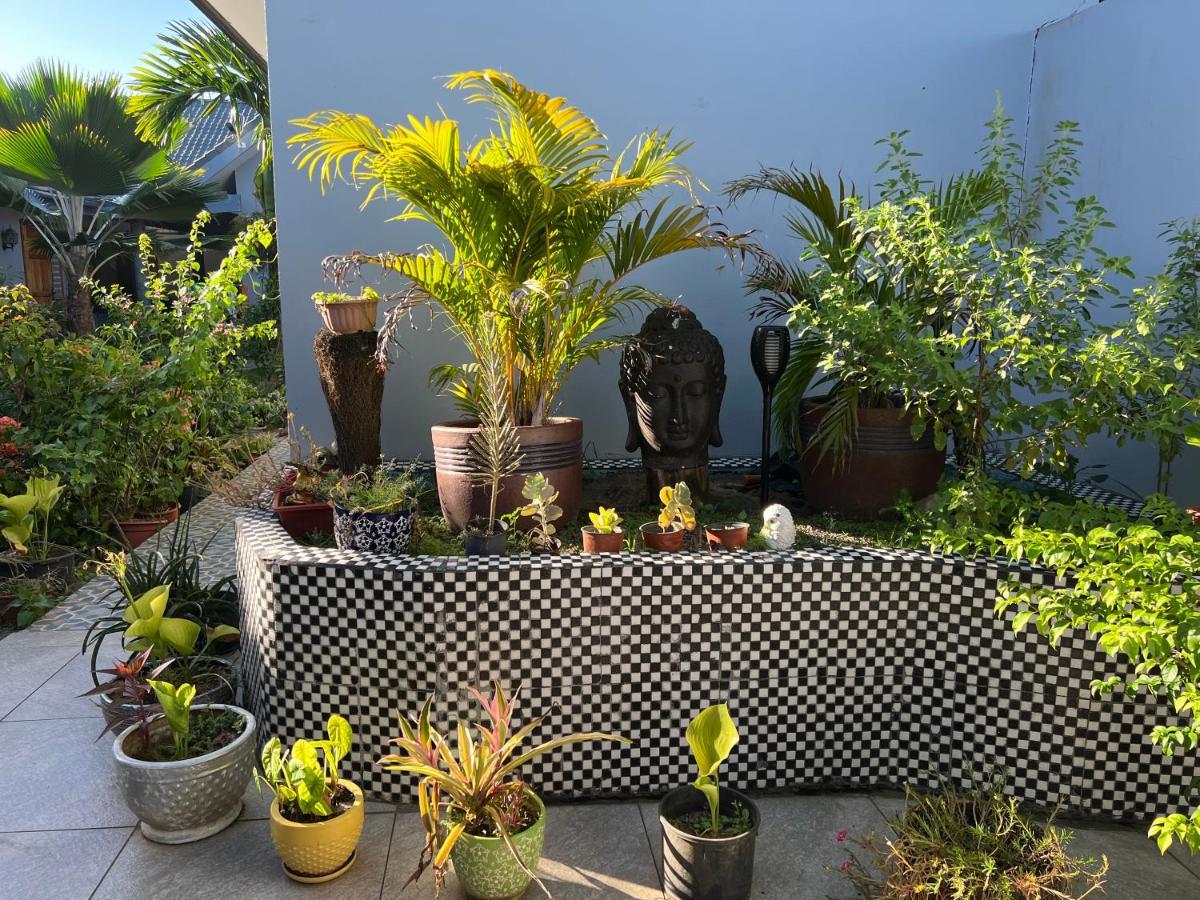 Pasifika Guesthouse Nadi Exteriör bild